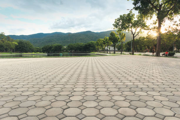 Best Residential Paver Driveway  in Auberry, CA
