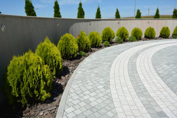Best Driveway Paving Near Me  in Auberry, CA